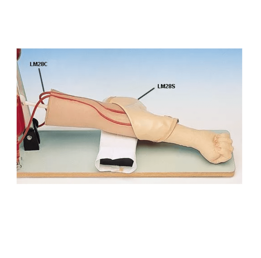 Ersatzvenen für LM28 - Erler - Zimmer